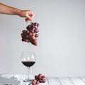 Red wine in a bottle, wine glass and red grapes over white background, isolated on white. Royalty Free Stock Photo