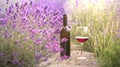 Red wine bottle and wine glass on the ground. Bottle of wine against lavender landscape. Sunset over a summer lavender