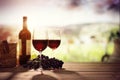 Red wine bottle and glass on table in vineyard Tuscany Italy Royalty Free Stock Photo