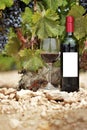 Red wine bottle and glass on wooden plank with vineyards in the background Royalty Free Stock Photo