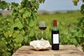 Red wine bottle and glass on wooden plank with vineyards in the background Royalty Free Stock Photo