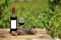 Red wine bottle and glass on wooden plank with vineyards in the background Royalty Free Stock Photo