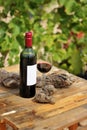 Red wine bottle and glass on wooden plank with vineyards in the background Royalty Free Stock Photo