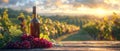 Red wine bottle and grapes on wooden table in vineyard at sunset Royalty Free Stock Photo