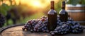 Red wine bottle and grapes on wooden table in vineyard at sunset Royalty Free Stock Photo