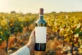 Male hand holds glass bottle with natural red wine with empty white label against summer landscape with vineyard Royalty Free Stock Photo