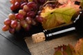 Red wine bottle with stopper and grapes and green grapes leaves on dark wooden table background Royalty Free Stock Photo