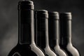 Red wine bottles black and white photo Royalty Free Stock Photo
