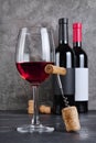 Red wine bottles with glass for tasting and corkscrew in cellar Royalty Free Stock Photo