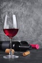 Red wine bottles with glass for tasting and corkscrew in cellar Royalty Free Stock Photo