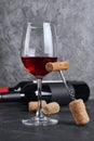 Red wine bottles with glass for tasting and corkscrew in cellar Royalty Free Stock Photo