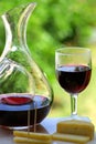 Red wine with cheese Royalty Free Stock Photo