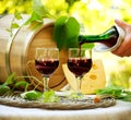 Red Wine and Cheese Royalty Free Stock Photo