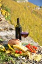 Red wine, cheese, bread Royalty Free Stock Photo