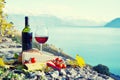 Red wine, cheese, bread and cherry tomatoes. Royalty Free Stock Photo