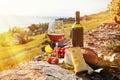 Red wine, cheese, bread and cherry tomatoes Royalty Free Stock Photo