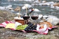 Red wine, cheese and grapes served at a picnic Royalty Free Stock Photo