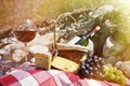 Red wine, cheese and grapes served at a picnic Royalty Free Stock Photo