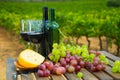 Red wine, cheese and grapes on wooden table