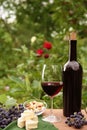 Red wine, cheese, nuts and grapes on wooden table outdoors, space for text Royalty Free Stock Photo