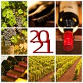 2021 red wine collage greeting card Royalty Free Stock Photo