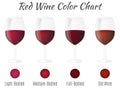 Red wine color chart. Hand drawn wine glasses.