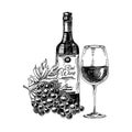 Red wine: composition with bottle, wineglass and bunch of grapes, hand drawn vector illustration.