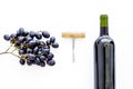 Red wine concept. Glass bottle with beverage near bunch of grapes and corkscrew on white background top view space for Royalty Free Stock Photo