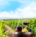 Red wine in decanter and glass Royalty Free Stock Photo