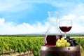 Red wine in decanter and glass Royalty Free Stock Photo