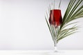 Red wine in elegant glass with green palm leaf in sunlight with striped shadows and reflection on soft light wood table and white. Royalty Free Stock Photo