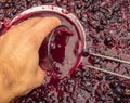 Red wine fermentation in process. Hand take a cup of wine. a glass of wine juice. Wine making concept Royalty Free Stock Photo