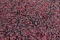 Red wine fermentation in process texture background