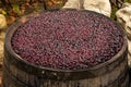 Red wine fermentation in process in a wooden vessel Royalty Free Stock Photo