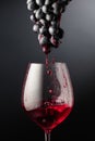Red wine flows down the grape cluster into the glass Royalty Free Stock Photo