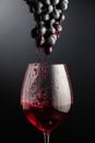 Red wine flows down the grape cluster into the glass Royalty Free Stock Photo
