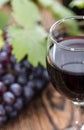 Red Wine with fresh Grapes