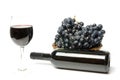 Red wine Royalty Free Stock Photo