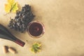 Red wine in a glass, grapes, bottle and cork on the table Royalty Free Stock Photo