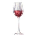 Red wine in a glass isolated on white background. Vector, waterc