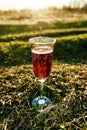 Red wine in glass at a picnic. green grass in the blurred background