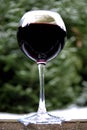 Red wine in a glass in the table on a garden Royalty Free Stock Photo