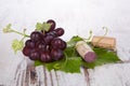 Red wine grape still life. Royalty Free Stock Photo