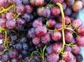Red wine grapes background/ dark grapes, blue grapes Royalty Free Stock Photo