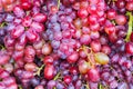 Red wine grapes background Royalty Free Stock Photo