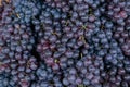 Red wine grapes background Royalty Free Stock Photo