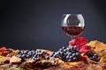 Red wine , grapes and dry vine leaves . Royalty Free Stock Photo