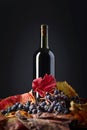 Red wine, grapes and dry vine leaves . Royalty Free Stock Photo