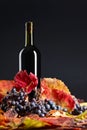 Red wine, grapes and dry vine leaves . Royalty Free Stock Photo