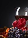 Red wine , grapes and dry vine leaves . Royalty Free Stock Photo